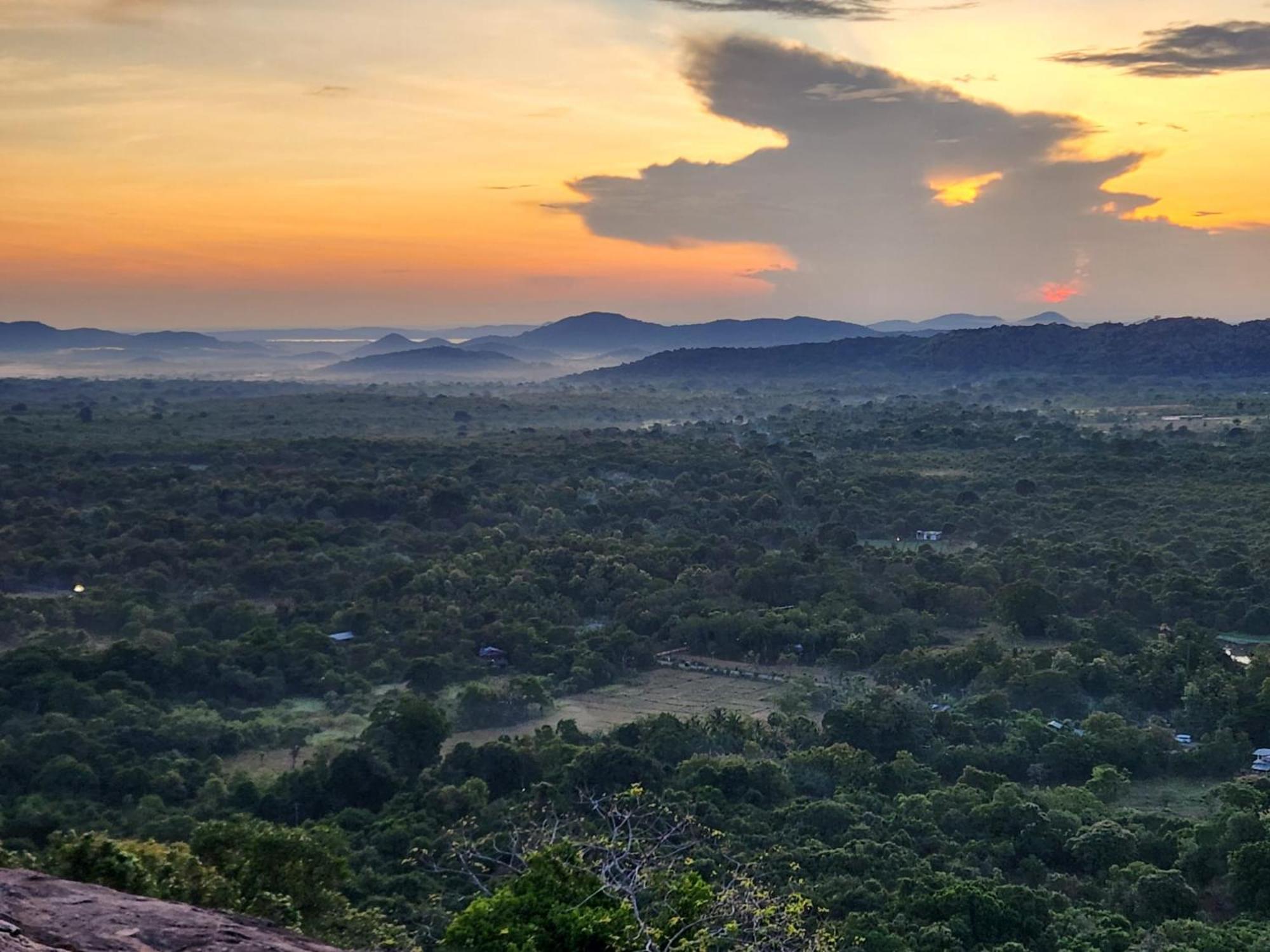 Sigiri Lion Villa Sigiriya Exterior foto