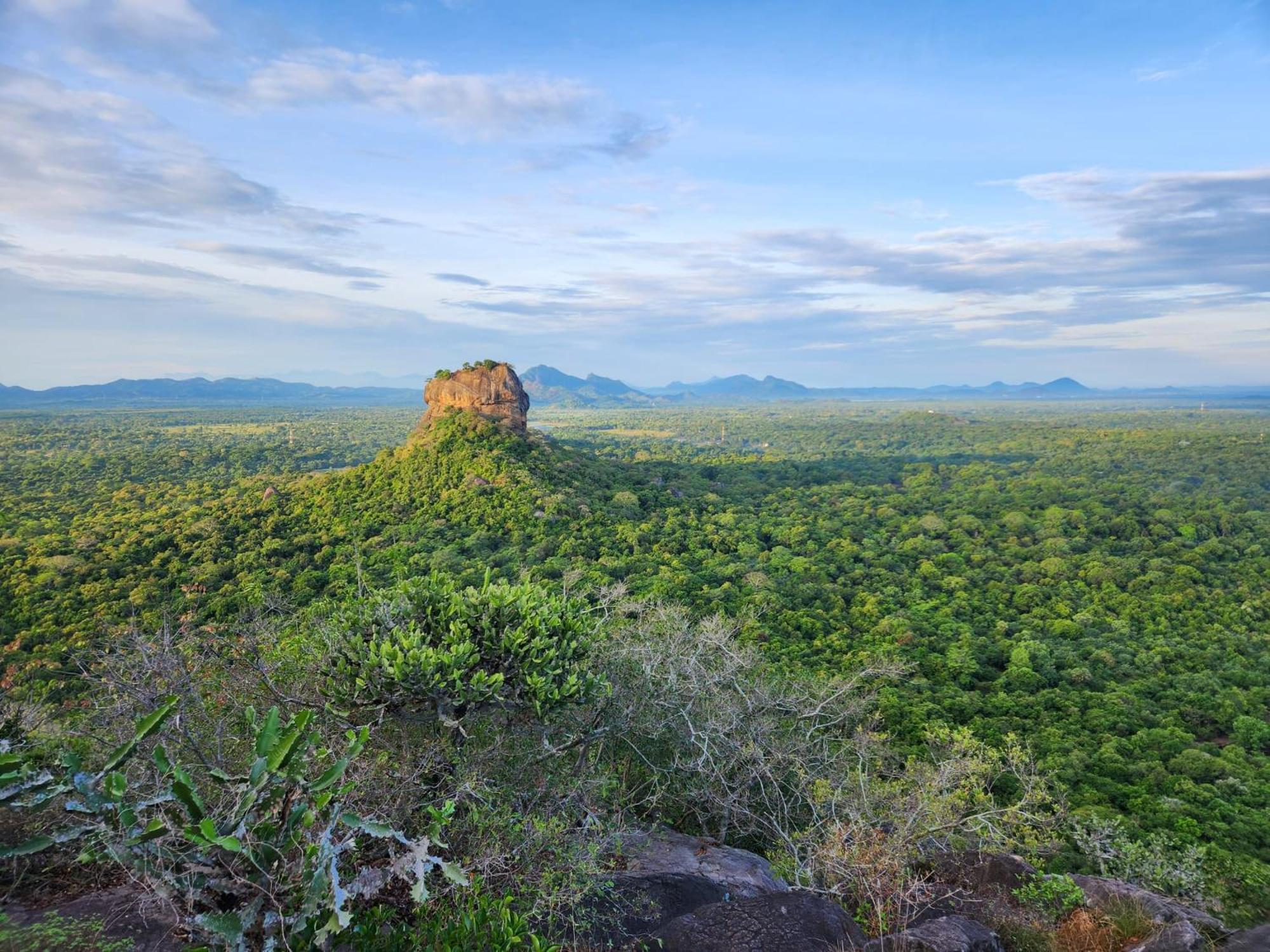 Sigiri Lion Villa Sigiriya Exterior foto