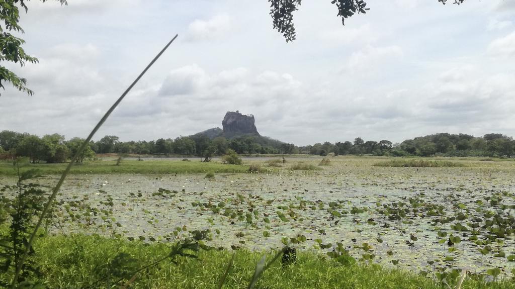 Sigiri Lion Villa Sigiriya Exterior foto